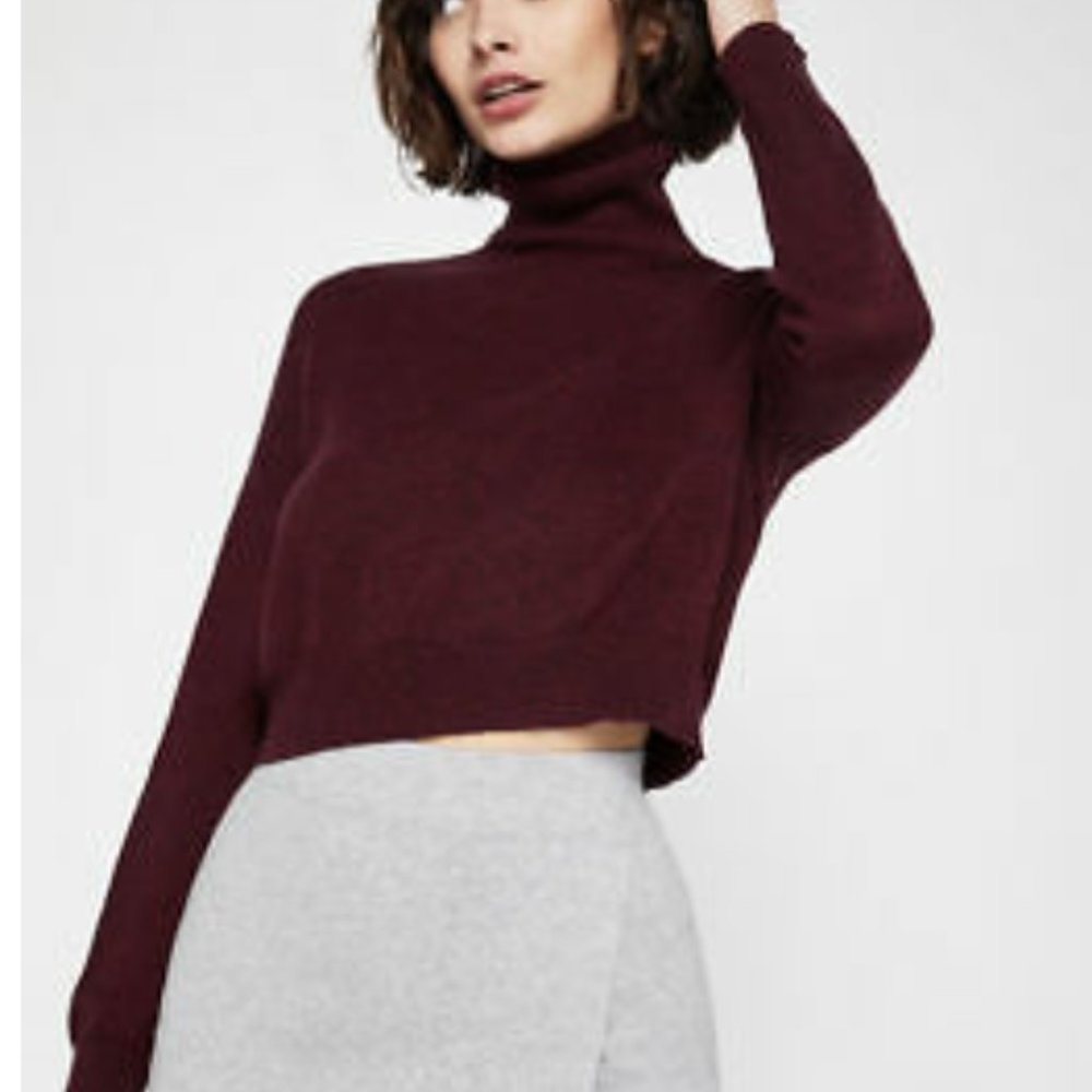 BCBG Turtleneck Crop Sweater